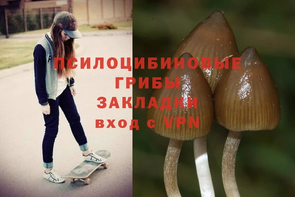 дмт Няндома