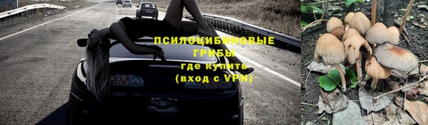 мескалин Нязепетровск